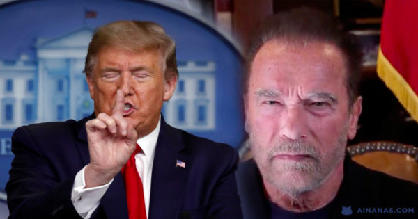 Schwarzenegger: Trump será irrelevante como um “tweet velho”