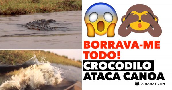 BORRAVA-ME TODO! Crocodilo ataca canoa