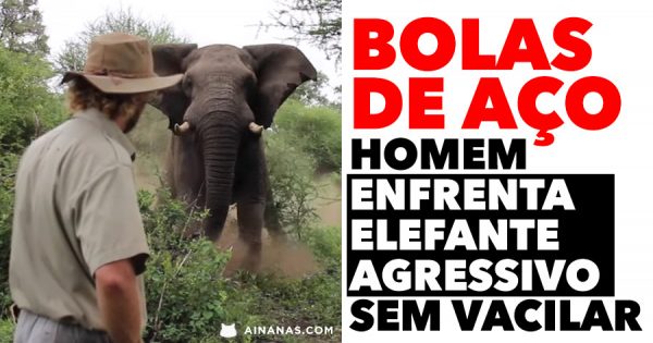 BOLAS DE AÇO: homem enfrenta elefante sem vacilar