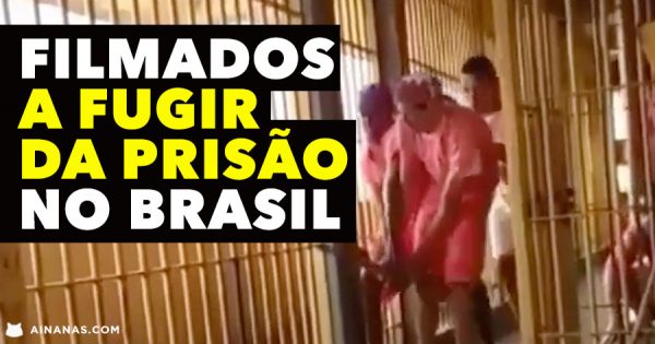 Vários Reclusos filmados a FUGIR DA PRISÃO no Brasil