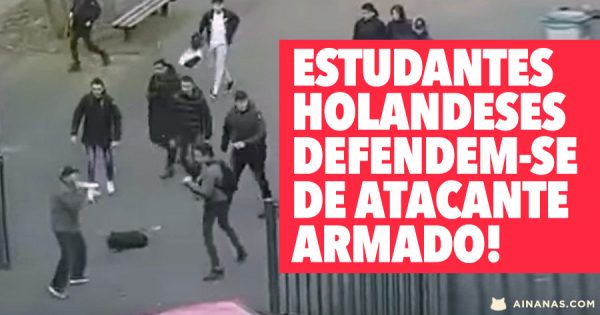 REIS: vê como alunos holandeses reagiram a atacante armado!