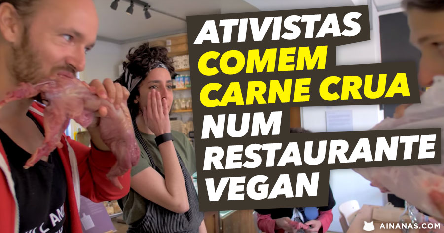 Manifestantes comem CARNE CRUA em restaurante vegan