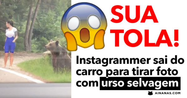 Instagrammer sai do carro para tirar foto com URSO SELVAGEM