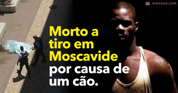 Homem MORTO A TIRO em Moscavide por causa de um cão