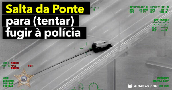 Criminoso SALTA DE PONTE para fugir à Polícia. Não deu certo.