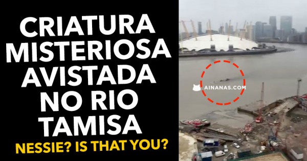 Criatura Misteriosa Avistada no Rio Tamisa