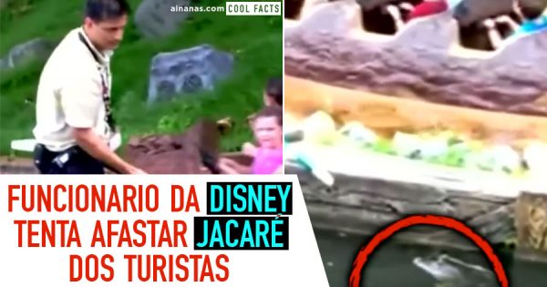 Funcionário da Disney tenta afastar ALLIGATOR dos Turistas