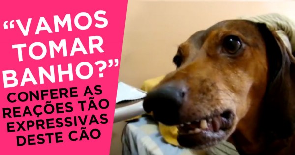 BOBBY: Vamos tomar banho?