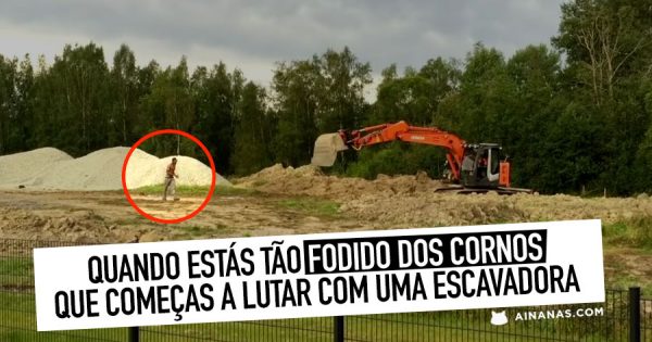 Homem Tenta Matar ESCAVADORA à Pedrada