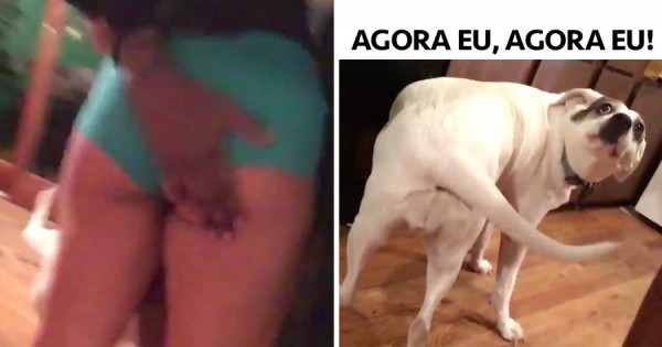 Cão vê a dona a levar PALMADINHA NA NALGA e também quer