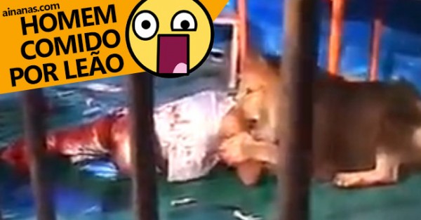 Homem Comido por Leão (VIDEO)