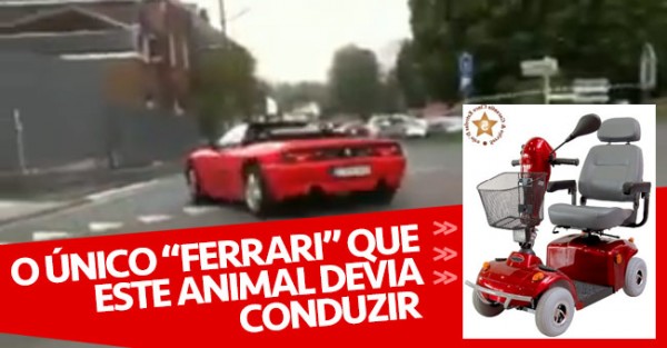 Burro Trapalhão Esbardalha Ferrari