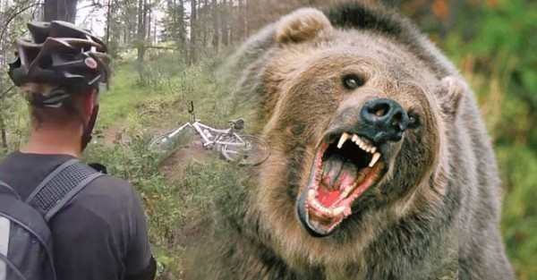 Ciclista Perseguido por Urso Gigante no Mato