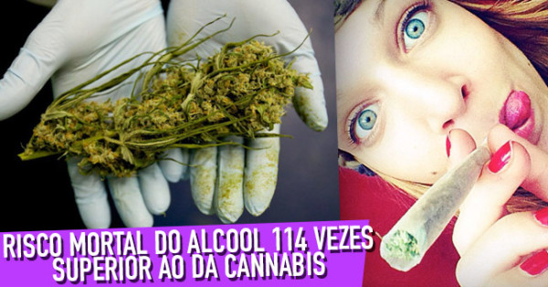 Álcool Considerado 114 vezes mais Perigoso do que Cannabis