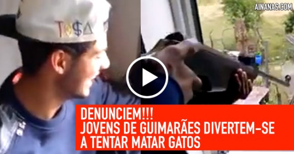 DENUNCIEM: Gunas de Guimarães Tentam Matar Gatos ao Tiro