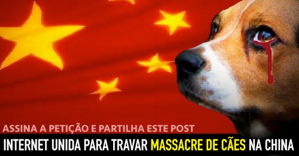 URGENTE: Internet Unida para Travar Massacre na China