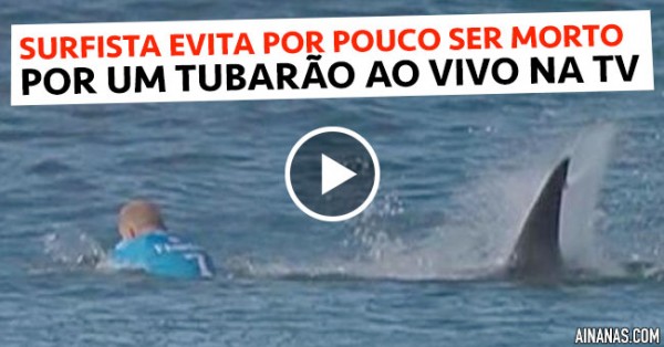 Surfista Evita por Pouco Ser Morto por Tubarão ao Vivo na TV