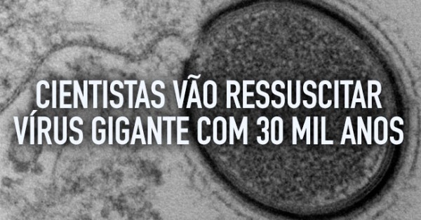 Cientistas vão ressuscitar Vírus Gigante com 30 Mil Anos
