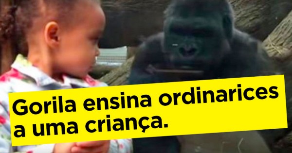 Gorila Ensina Ordinarices a uma Criança