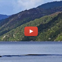 NESSIE? Novas imagens captadas em Loch Ness