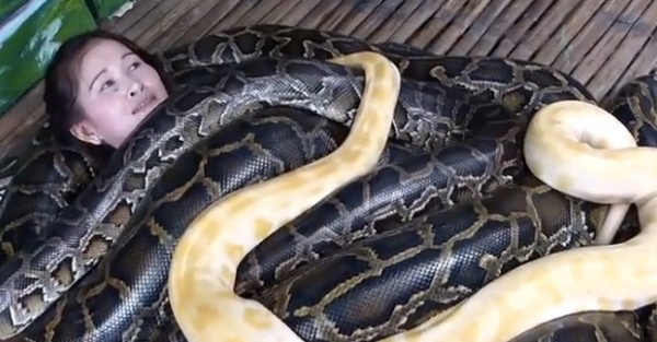 MASSSAGENS GRÁTIS Feitas por Cobras de 90kg