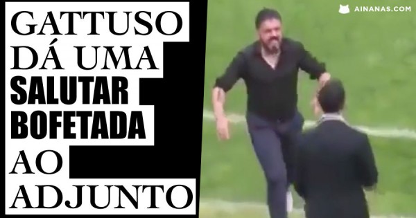 GATTUSO dá Salutar Bofetada ao Adjunto