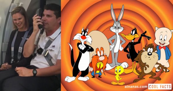 Comissário de Bordo fala com Passageiros na Voz dos LOONEY TUNES