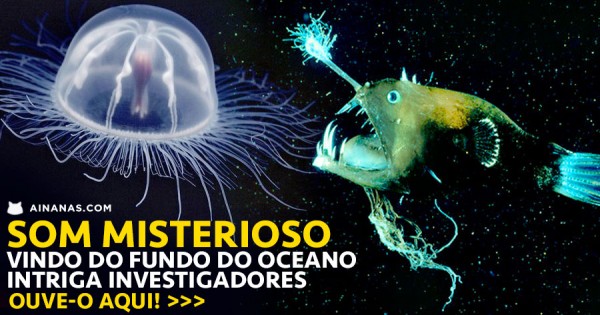 Som Misterioso das Profundesas do Oceano Intriga Cientistas