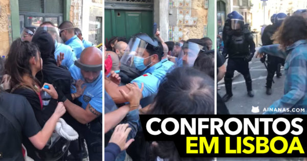Confrontos com a PSP para travar DESPEJO EM LISBOA (video)