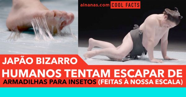 Bizarro: Humanos Tentam Escapar de Armadilhas para Insetos (feitas à escala)