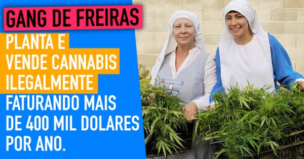 FREIRAS DA CANNABIS Estão-se a Cagar para a Lei