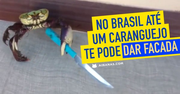 No Brasil até um Caranguejo te Pode Esfaquear