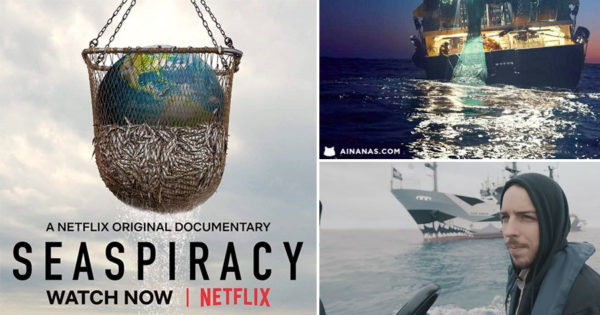 Seaspiracy: Documentário Netflix expõe REALIDADE NEGRA da Pesca Industrial