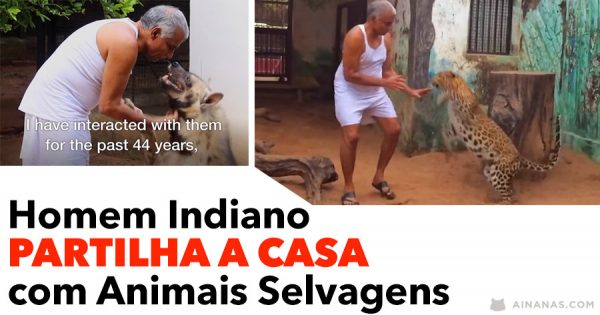 Homem Indiano PARTILHA A CASA com Animais Selvagens