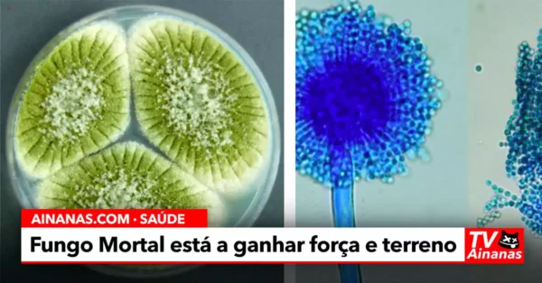 Fungos Mortais poderão atacar como em THE LAST OF US