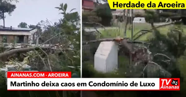 Martinho deixou rasto de destruição na HERDADE DA AROEIRA