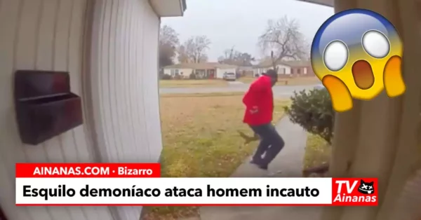 Esquilo DEMONÍACO ataca homem à porta de casa!