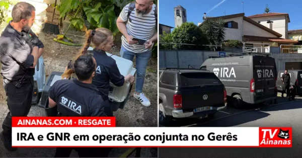GNR e IRA Resgatam Cães Maltratados no Gerês