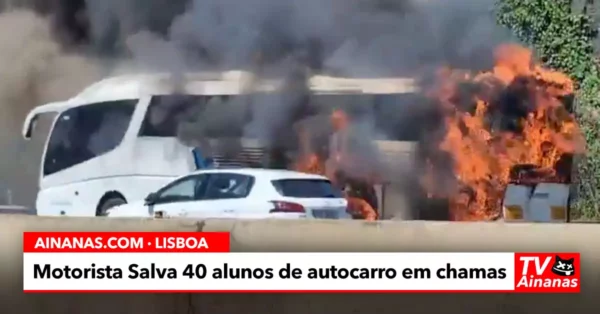 Motorista Herói Salva 40 Alunos de Autocarro em Chamas na A5