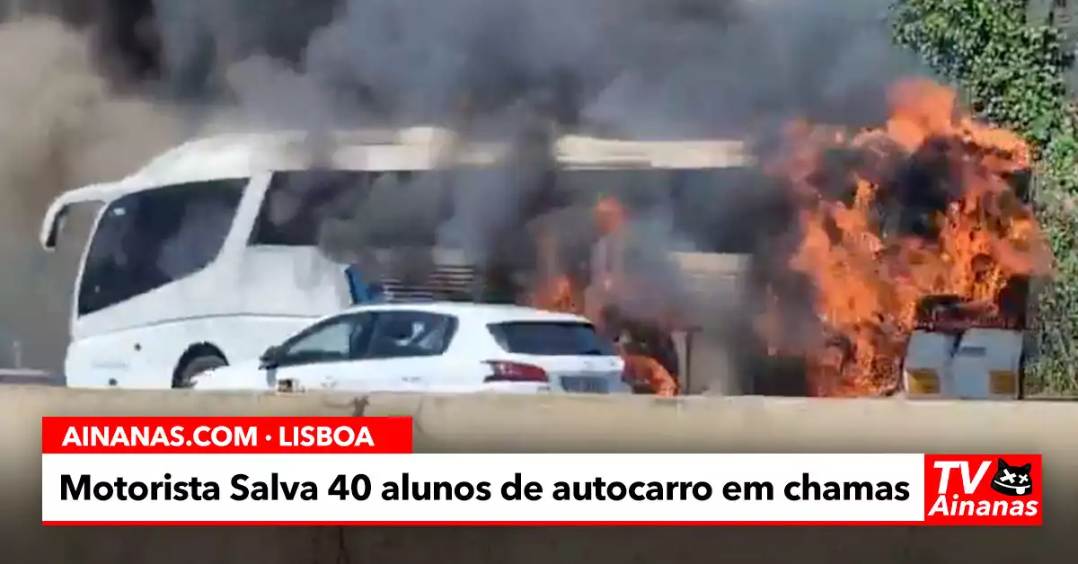 Motorista Herói Salva 40 Alunos de Autocarro em Chamas na A5