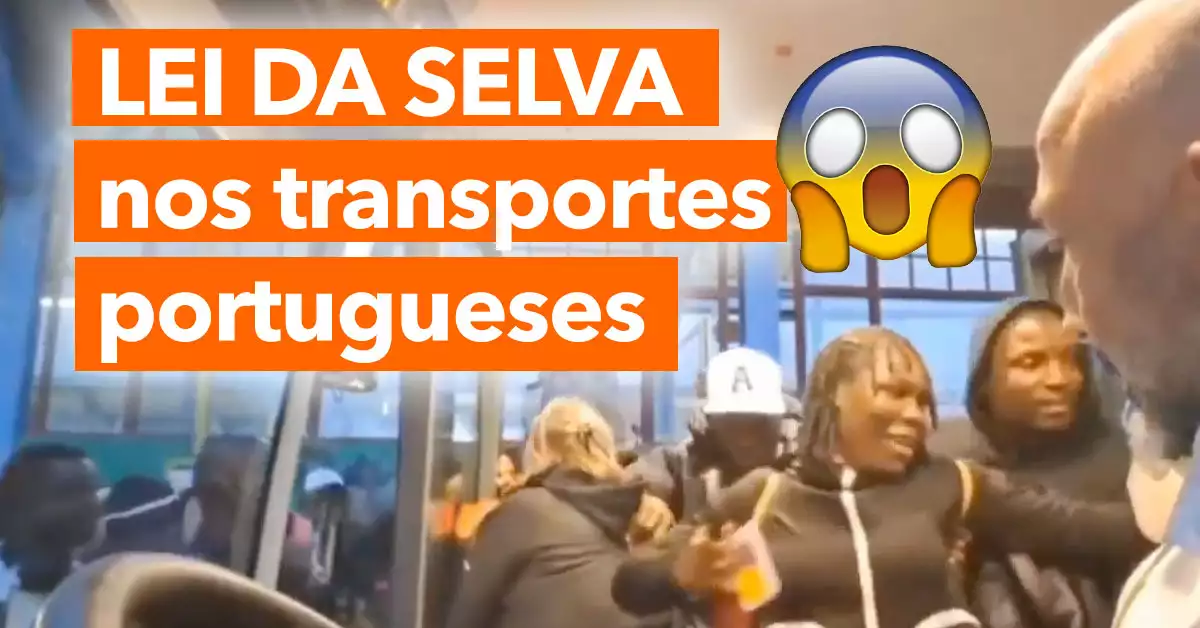 Caos na Carris: Passageiros vivem LEI DA SELVA