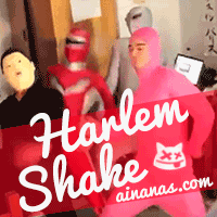 HARLEM SHAKE: O Novo Gangnam Style