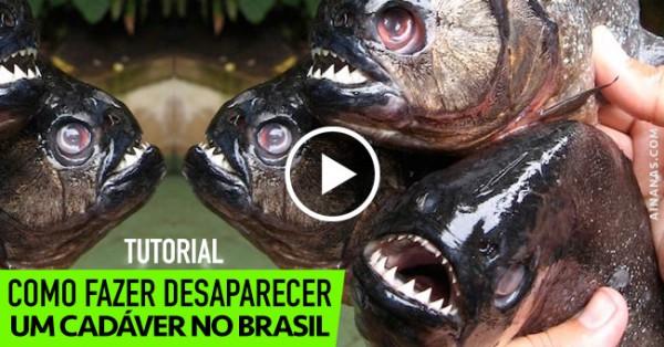 Como Fazer Desaparecer um Cadáver no Brasil